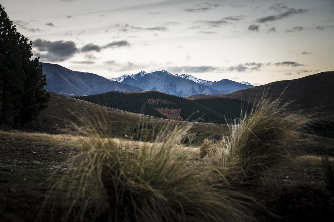 Skyscape Villa Twizel Exterior foto